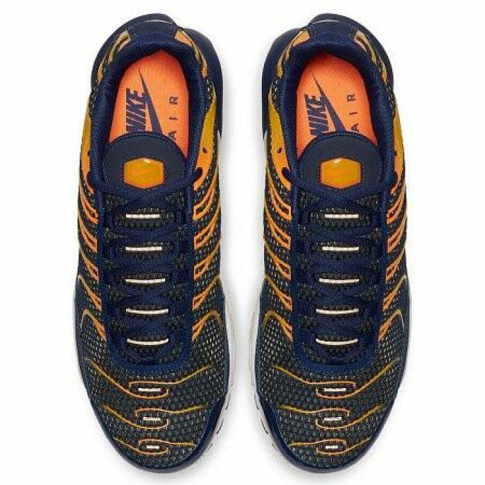 Кроссовки Nike AIR MAX PLUS TN (Цвет Blue Void-Total Orange-University Gold)